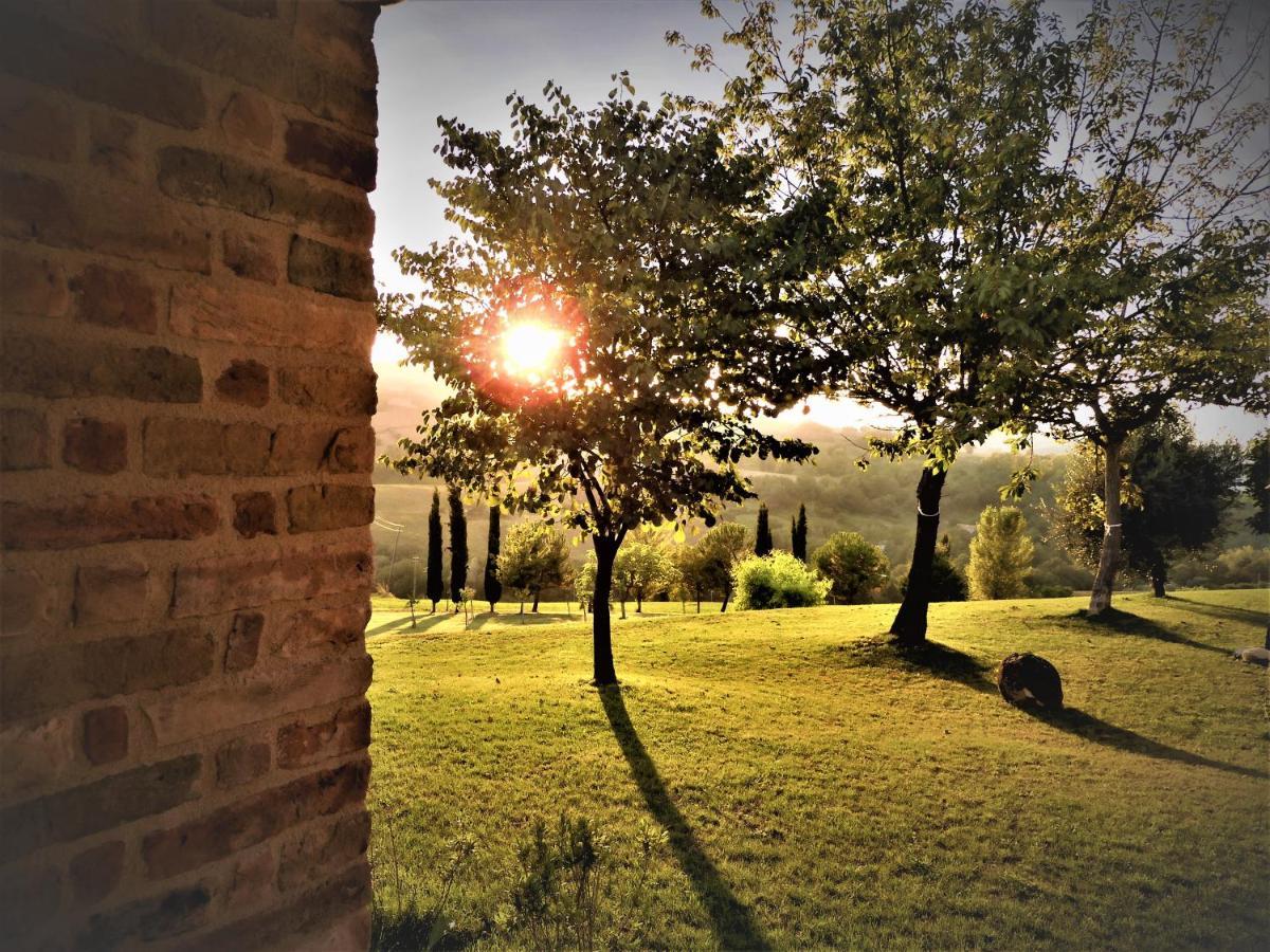 Quelli Del Picchio Panzió Cupramontana Kültér fotó